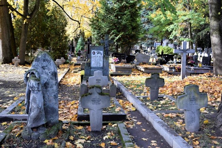 Między lipami i ciszą. Historia lubelskiego Panteonu