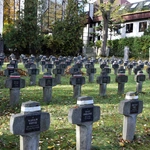 Między lipami i ciszą. Historia lubelskiego Panteonu