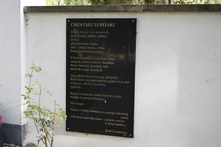 Między lipami i ciszą. Historia lubelskiego Panteonu