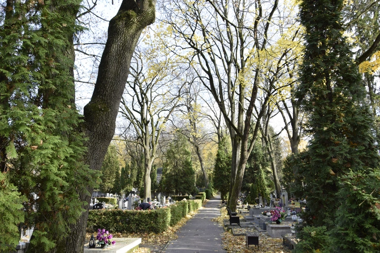 Między lipami i ciszą. Historia lubelskiego Panteonu