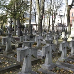 Między lipami i ciszą. Historia lubelskiego Panteonu