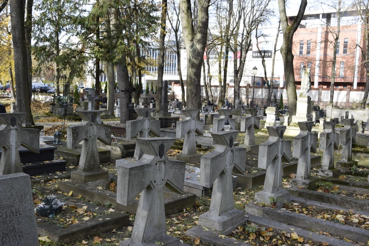 Między lipami i ciszą. Historia lubelskiego Panteonu