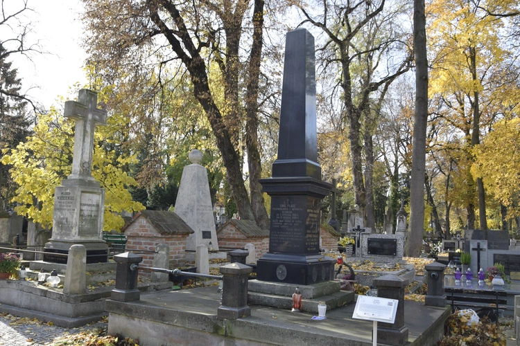 Między lipami i ciszą. Historia lubelskiego Panteonu