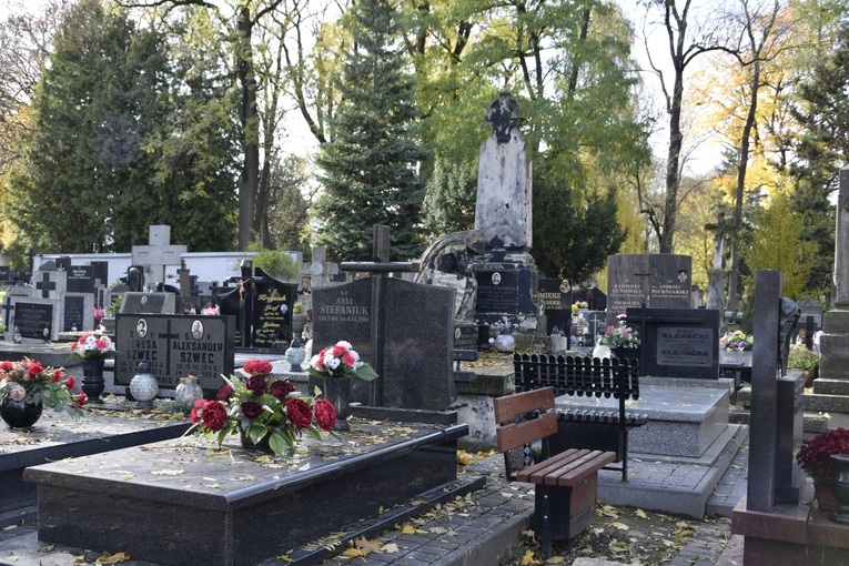 Między lipami i ciszą. Historia lubelskiego Panteonu