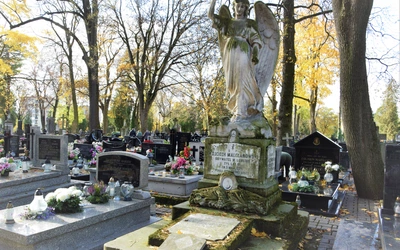 Galeria pamięci pod otwartym niebem 