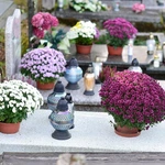 Uroczystość Wszystkich Świętych