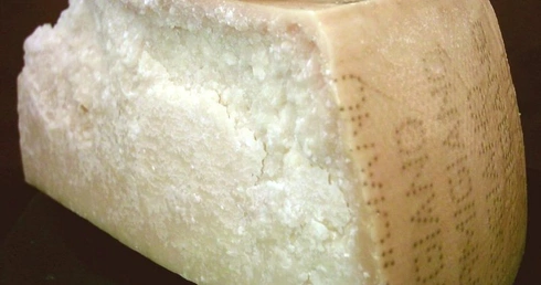 Ot, kawałek parmezanu