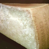 Ot, kawałek parmezanu