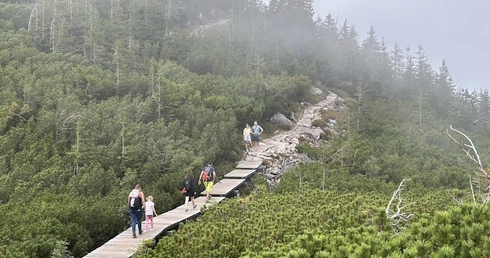 Na razie tędy nie przejdziesz