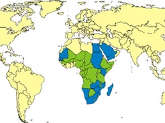 WHO: w Afryce Zachodniej wybuchła rzadka epidemia gorączki doliny Rift