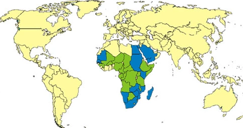 WHO: w Afryce Zachodniej wybuchła rzadka epidemia gorączki doliny Rift