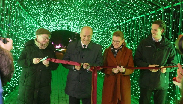 Park pełen światła