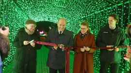 Park pełen światła