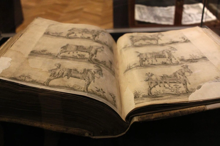 Wernisaż wystawy "Książęcy Ogród Sztuk - w Pokoju Wirtembergów"