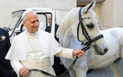 Pół roku pontyfikatu: sześć kamieni milowych Leona XIV