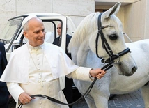 Pół roku pontyfikatu: sześć kamieni milowych Leona XIV