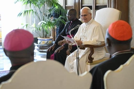 Leon XIV zachęca do współpracy misyjnej Północy i Południa