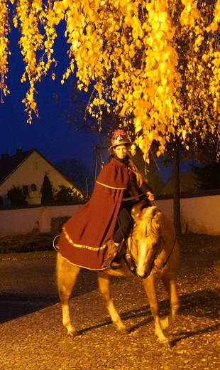 Wieczór Marcinowy w Sicinach