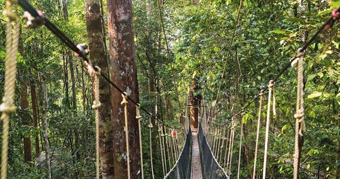 „To jest przyodziewanie człowieka we wspaniałość”. Rzeczy ostateczne: Czyściec