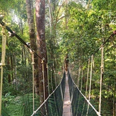 „To jest przyodziewanie człowieka we wspaniałość”. Rzeczy ostateczne: Czyściec