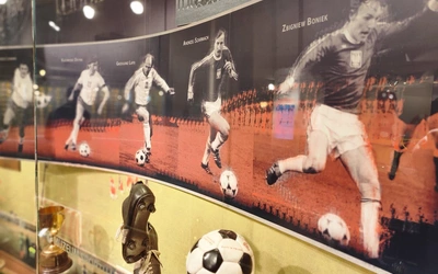 Mózg kibica, czyli organ do zadań specjalnych