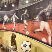 Mózg kibica, czyli organ do zadań specjalnych