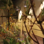 "Dziady cz. III" w tarnowskim seminarium