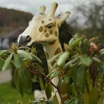 Dom Pomocy Społecznej w Ludwikowicach Kłodzkich