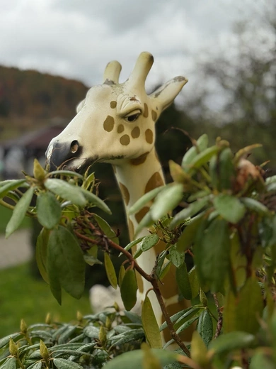 Dom Pomocy Społecznej w Ludwikowicach Kłodzkich