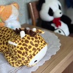 Dom Pomocy Społecznej w Ludwikowicach Kłodzkich