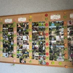 Dom Pomocy Społecznej w Ludwikowicach Kłodzkich