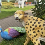 Dom Pomocy Społecznej w Ludwikowicach Kłodzkich