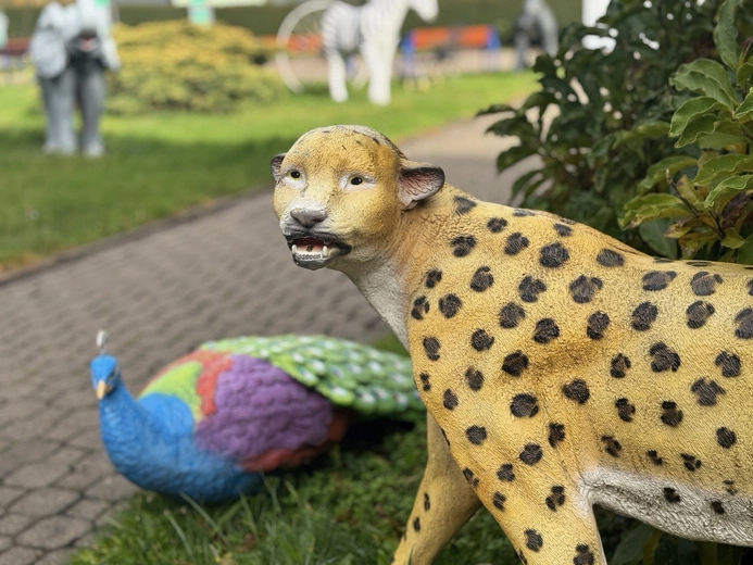 Dom Pomocy Społecznej w Ludwikowicach Kłodzkich