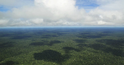 Amazonia