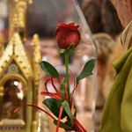 Relikwie św. Teresy od Dzieciątka Jezus i jej rodziców w Tarnowie