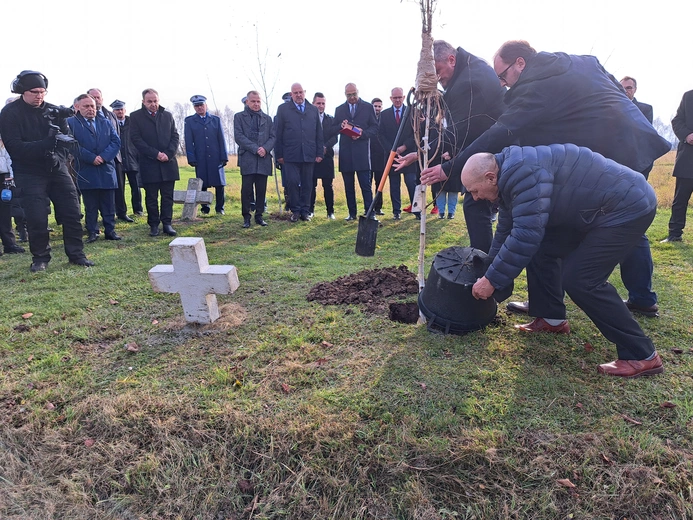 Zabawa. Obchody Światowego Dnia Pamięci Ofiar Wypadków Drogowych