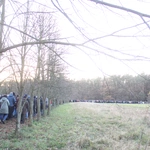 Wał-Ruda. Droga Krzyżowa z bł. Karoliną w 111. rocznicę jej męczeńskiej śmierci