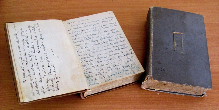 Zapiski wydali jej synowie.