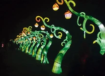 Rośliny odkrywają swoje tajemnice.