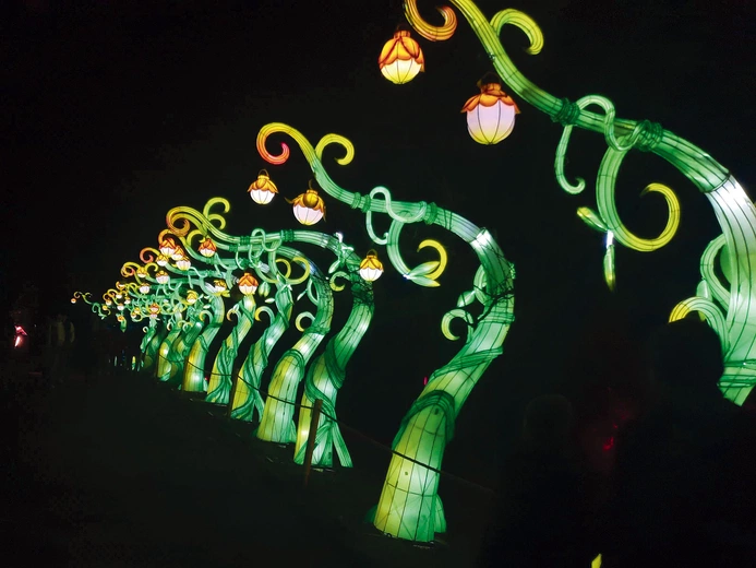 Rośliny odkrywają swoje tajemnice.