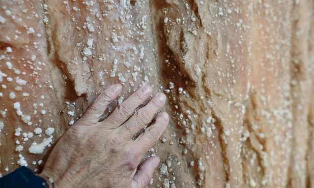 Kłodawska sól ma ok. 250 mln lat