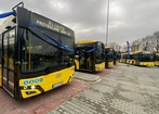 Gliwice. Nowe autobusy elektryczne i hybrydowe 