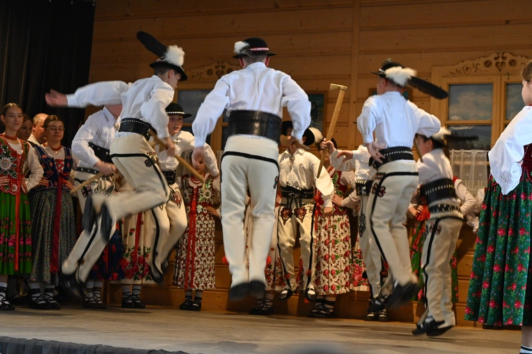 Z regionalizmem za pan brat