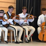 Z regionalizmem za pan brat