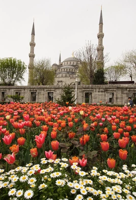 Błękitny Meczet w Stambule