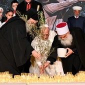 Papież przyjął zwierzchników wspólnot islamskich i druzyjskich