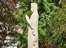 Światłość w ogrodzie