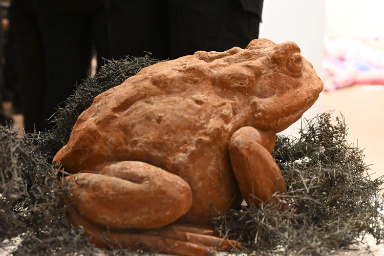 Nowotarskie "Implementacje"