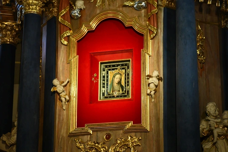 Obłóczyny i kandydatura w Rokitnie