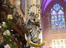 Z Niepokalanie Poczętą w katedrze wrocławskiej